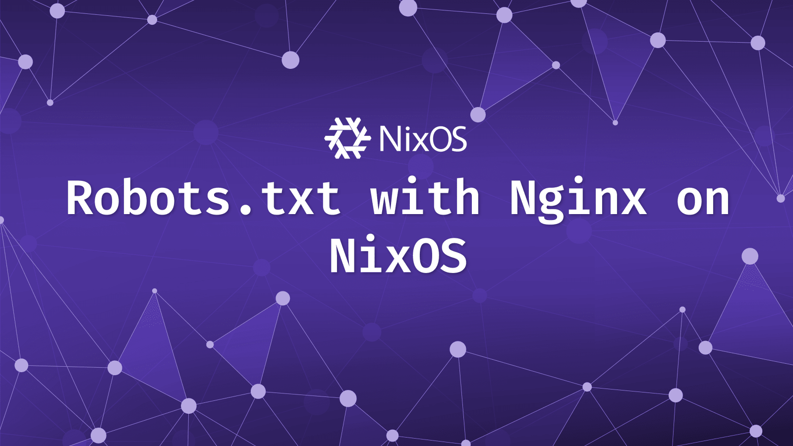 Robots.txt with Nginx on NixOS<br>