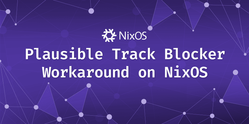 Plausible Tracking on NixOS<br>